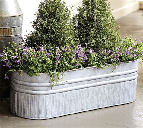 galvanised metal box|galvanized metal containers for plants.